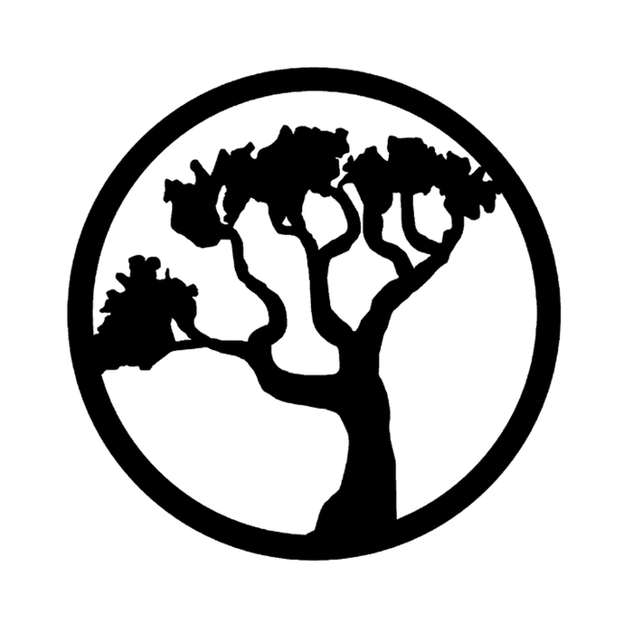 Van Isle Brazilian Jiu Jitsu — Victoria BC